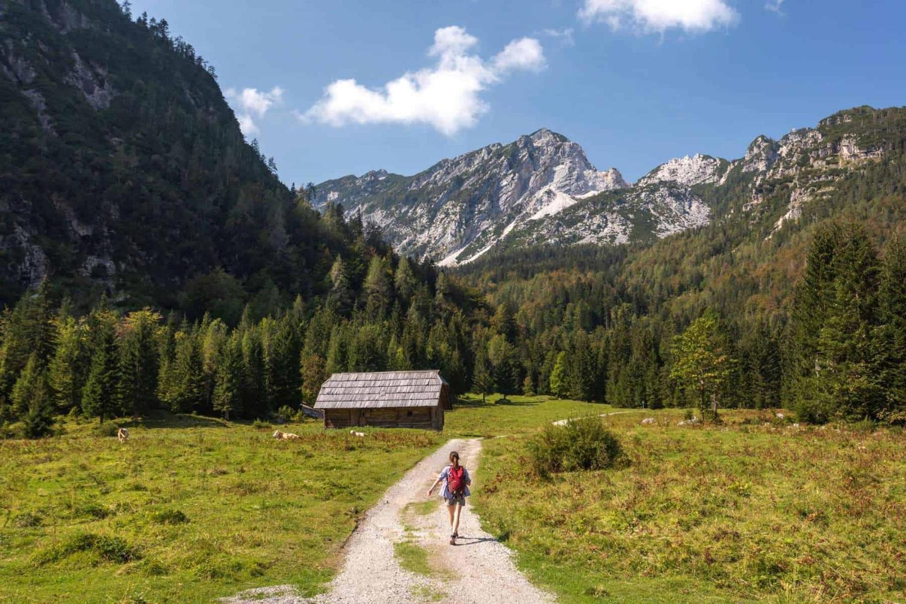 Sunny Retreat Apartment Kranjska Gora Exterior photo